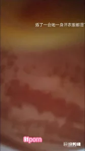 极品良家少妇在厕所被玩